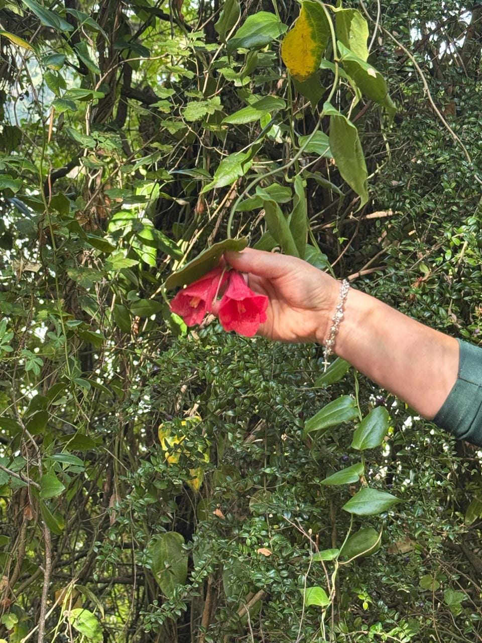 Segunda Salida Pedagógica